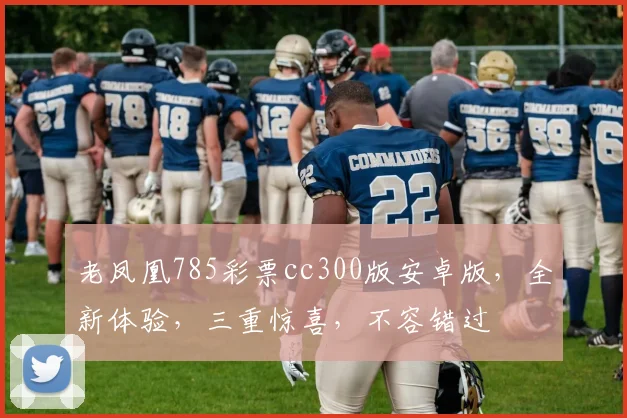 老凤凰785彩票cc300版安卓版，全新体验，三重惊喜，不容错过