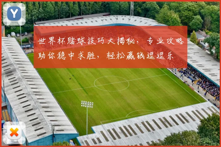 世界杯赌球技巧大揭秘，专业攻略助你稳中求胜，轻松赢钱逗逗乐