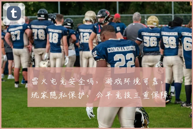 雷火电竞安全吗，游戏环境可靠，玩家隐私保护，公平竞技三重保障，值得信赖