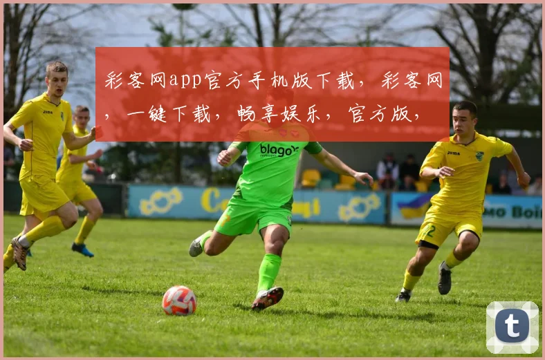 彩客网app官方手机版下载，彩客网，一键下载，畅享娱乐，官方版，安全可靠，三步搞定，轻松体验